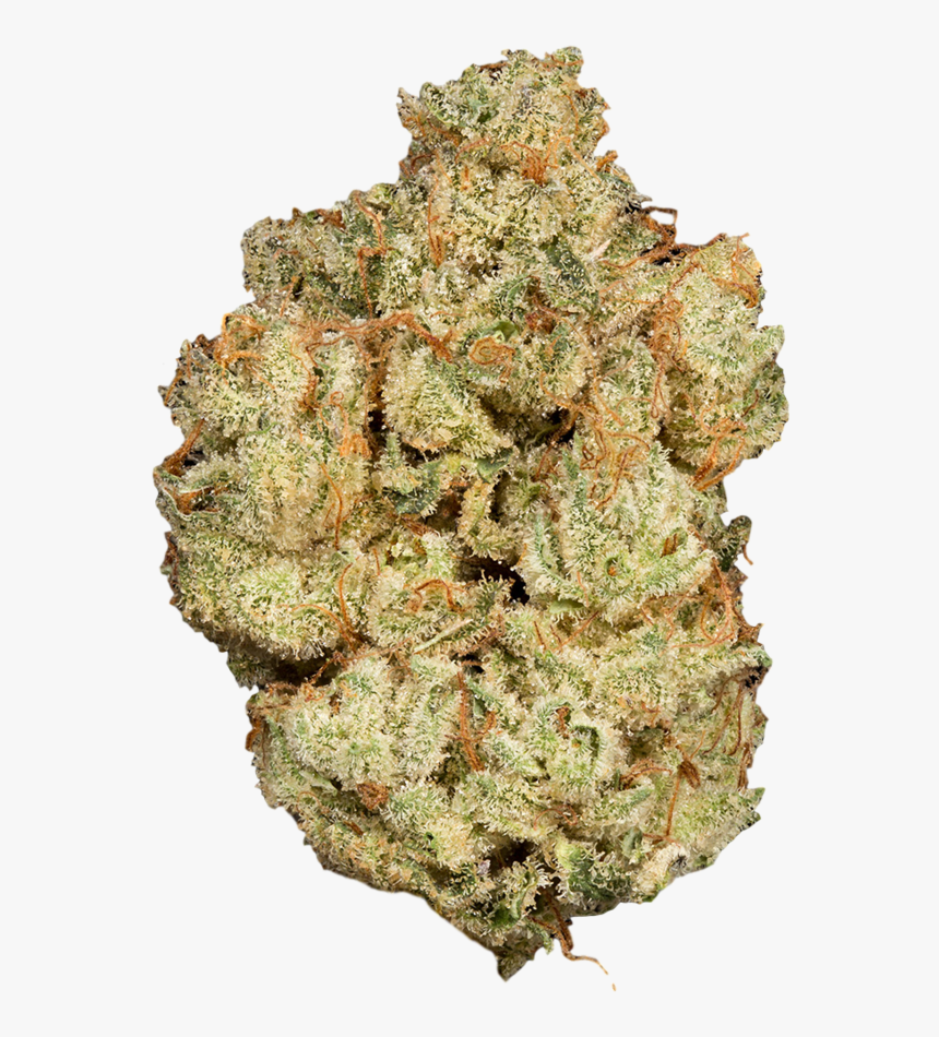 Rock, HD Png Download