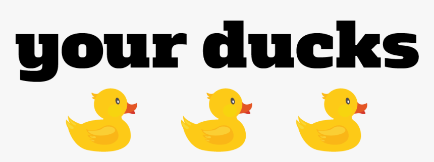 Png In A Transparent - Duck, Png Download
