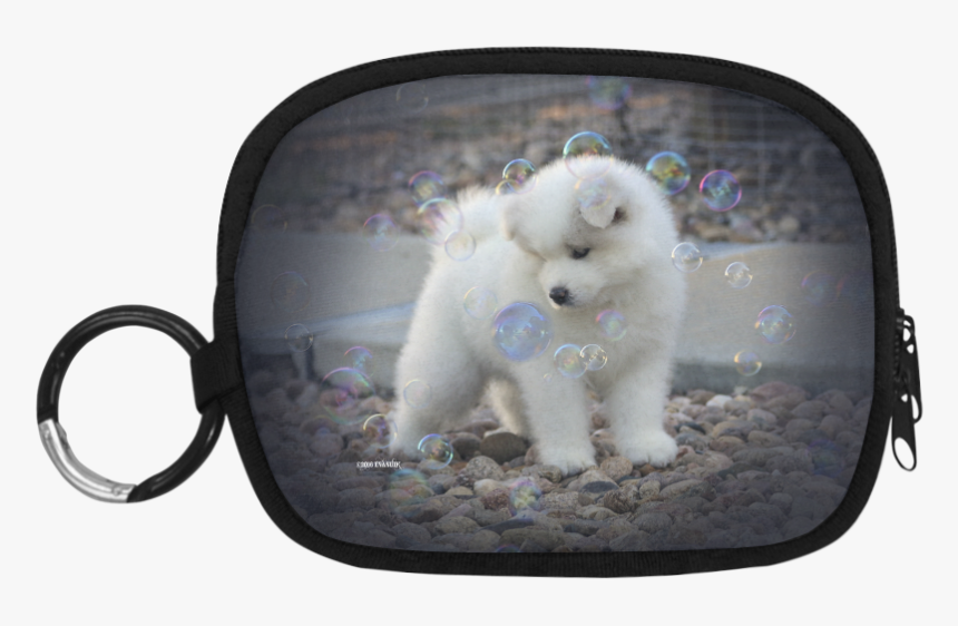 Samoyed Bubbles Coin Purse - Handbag, HD Png Download