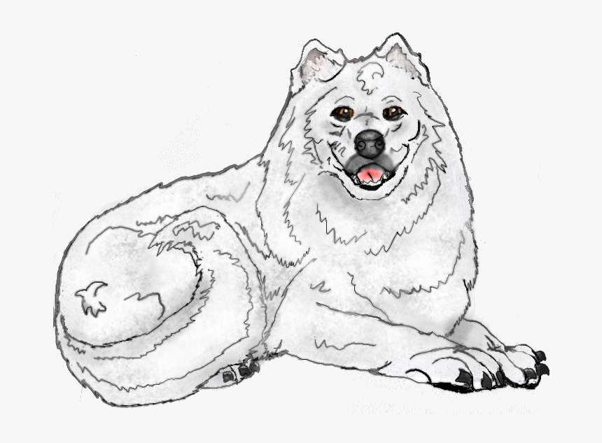 Czechoslovakian Wolfdog, HD Png Download