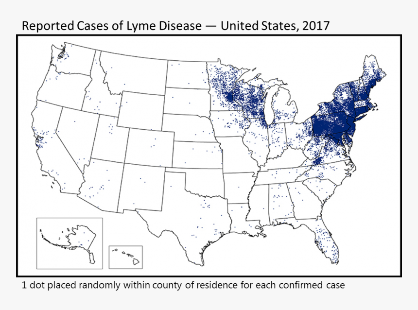 Mountain Chorus Frog Range, HD Png Download