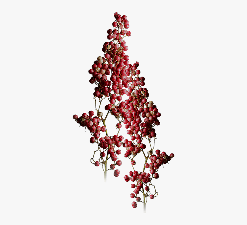Mountain Garland, HD Png Download