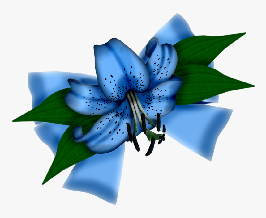 Scrap Clipart , Png Download - Tiger Lily, Transparent Png