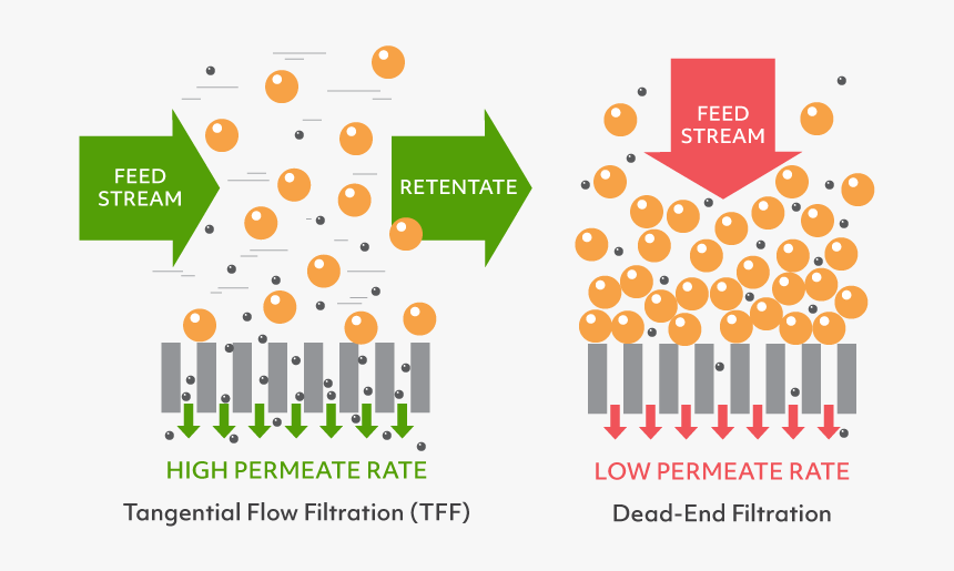 Tangential Flow Filtration Vs Deadend Filtration Direct Flow
