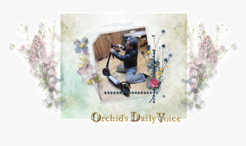 Floral Design, HD Png Download