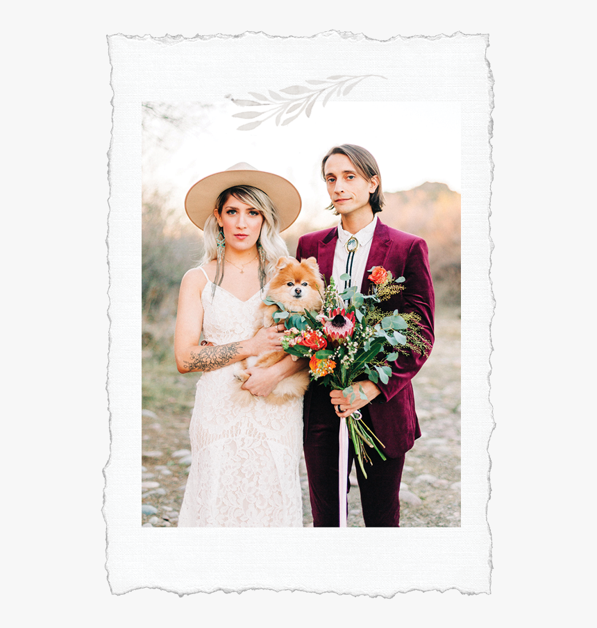 Header Buttons Home3 - Photograph, HD Png Download