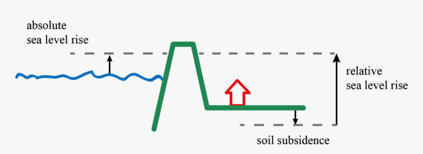 Relative Sea Level Rise Is The Sum Of Soil Subsidence, HD Png Download