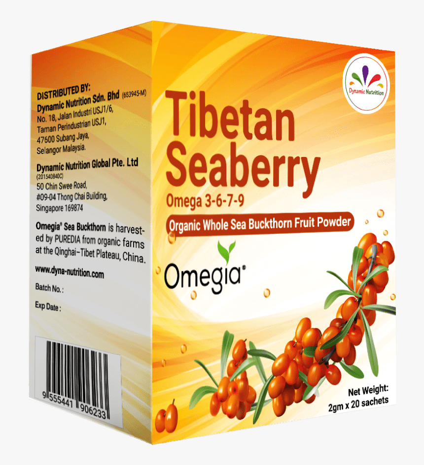 Brochure, HD Png Download