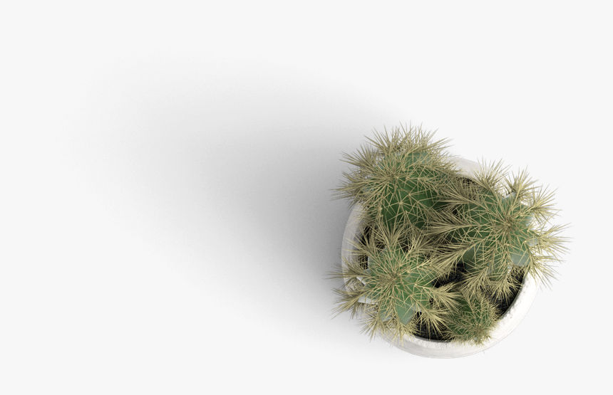 Top View Objects Png, Transparent Png