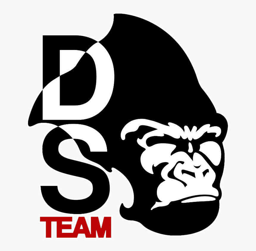 Picture - Team Ds, HD Png Download