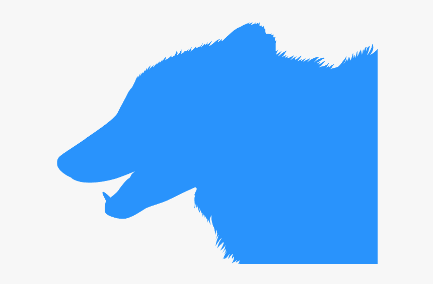 Marine Mammal, HD Png Download