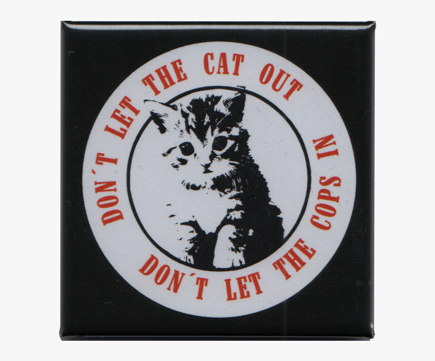 Lps Cat Png, Transparent Png