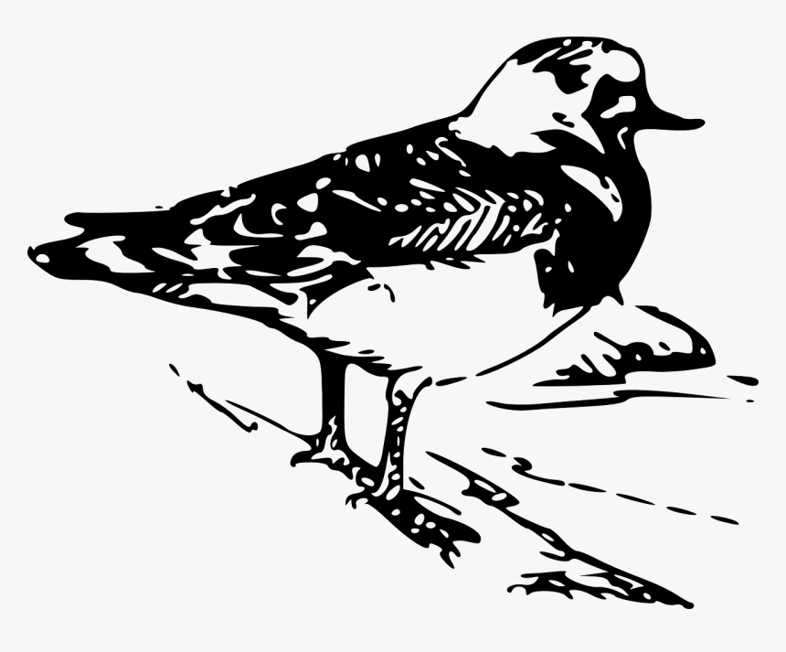 Prediseñadas De Animales, HD Png Download