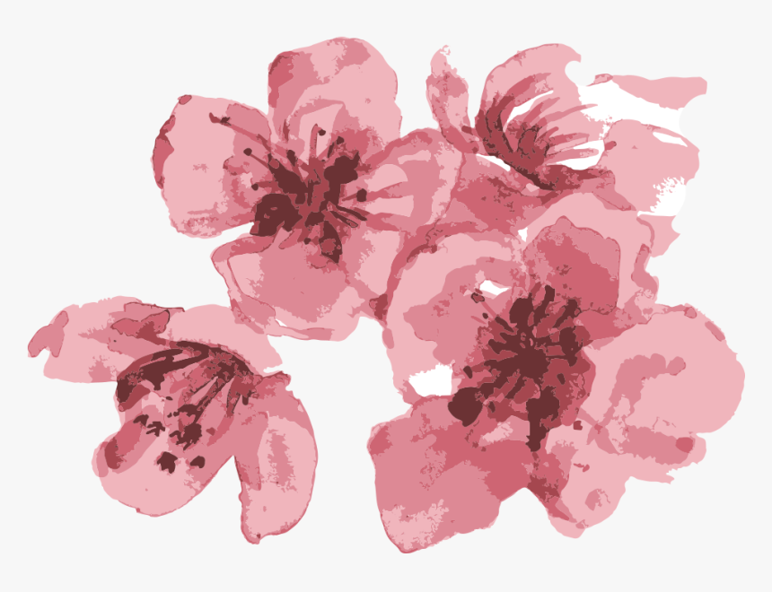 Visit Our Event Site - Hibiscus, HD Png Download