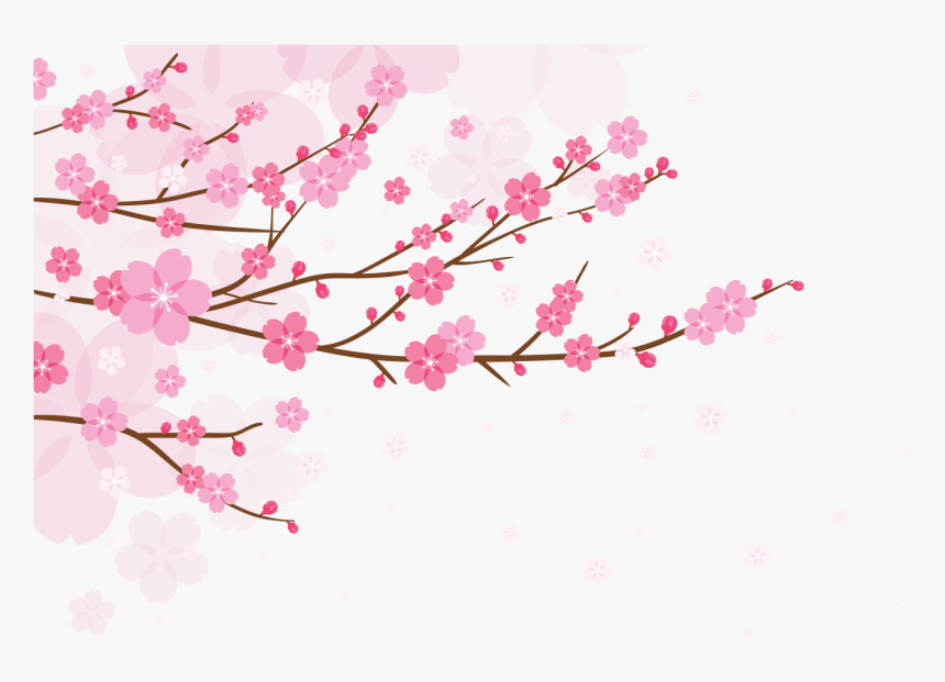 Cherry Blossom Pink Background, HD Png Download