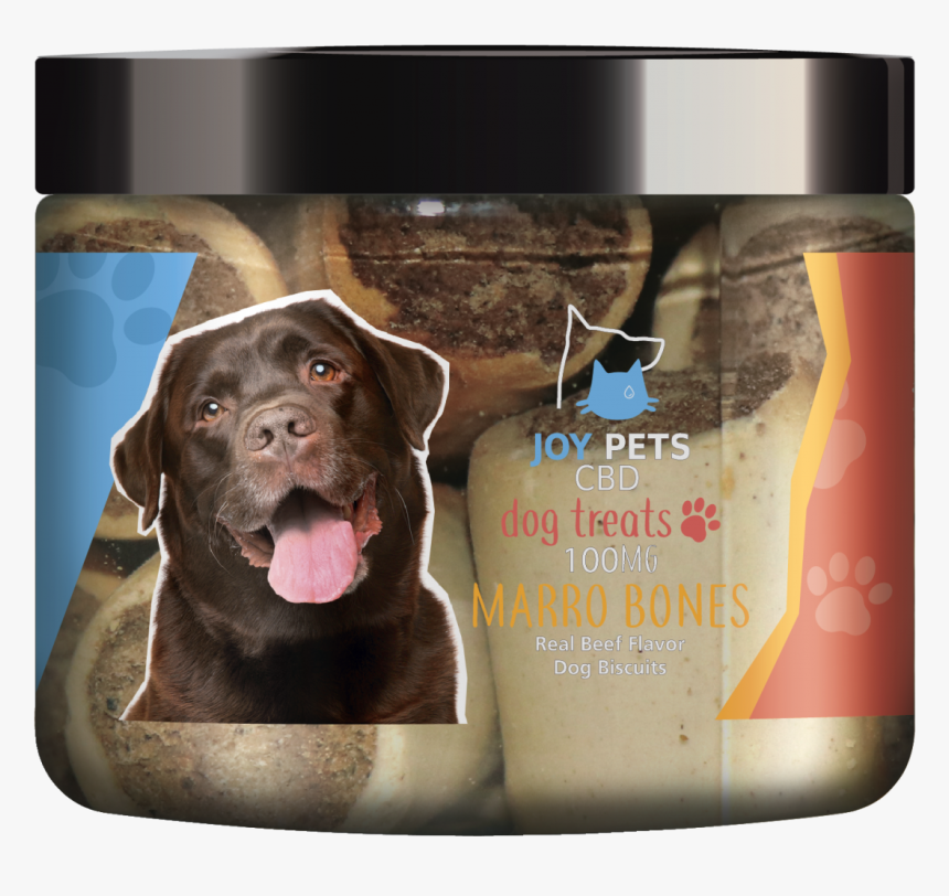 Labrador Retriever, HD Png Download