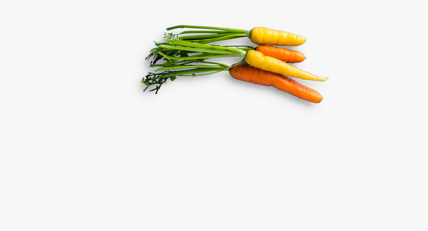 Baby Carrot, HD Png Download