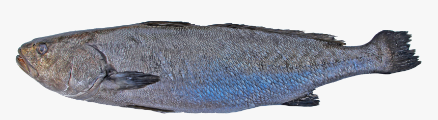 Leather, HD Png Download