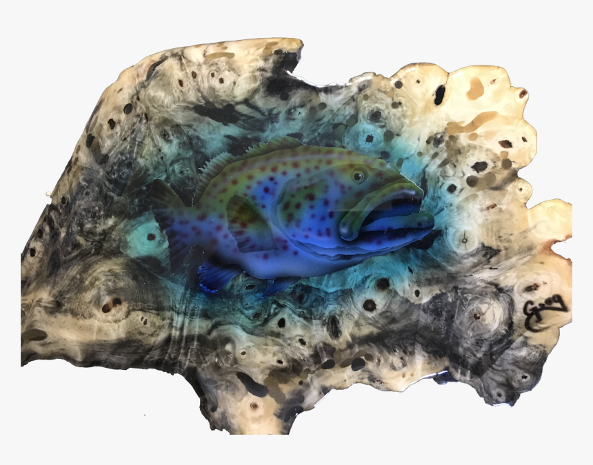 Shell, HD Png Download