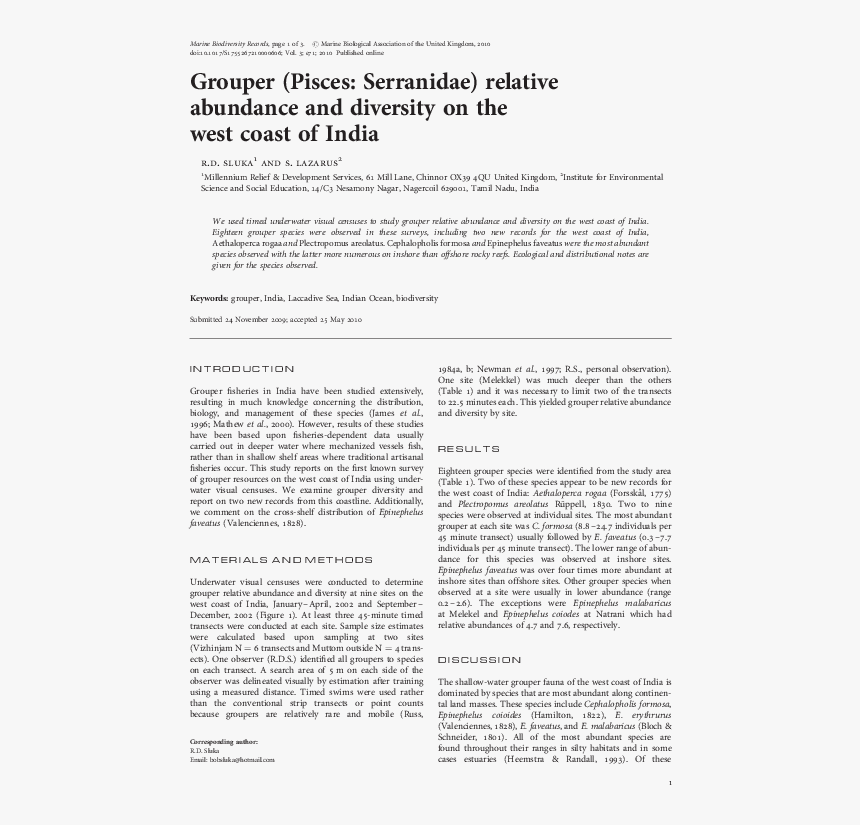 Document, HD Png Download