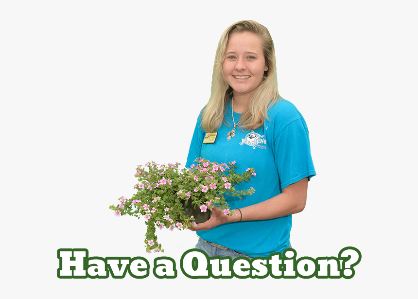 Warren S Southern Gardens Expert Kathryn - Bouquet, HD Png Download