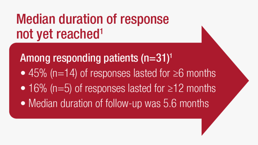 Description Of Rapid And Durable Responses Following - Coquelicot, HD Png Download