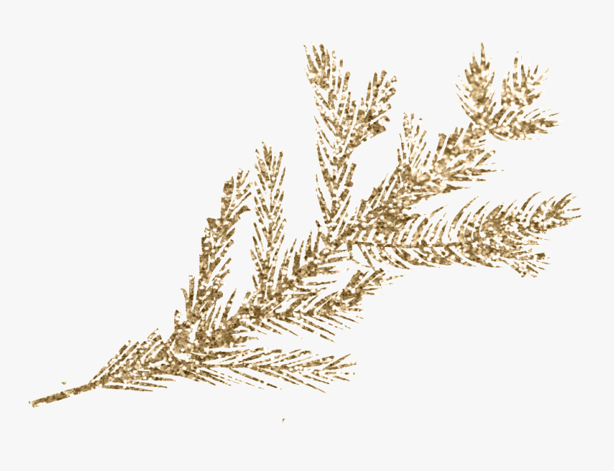 Pink Gypso Flowers Png, Transparent Png