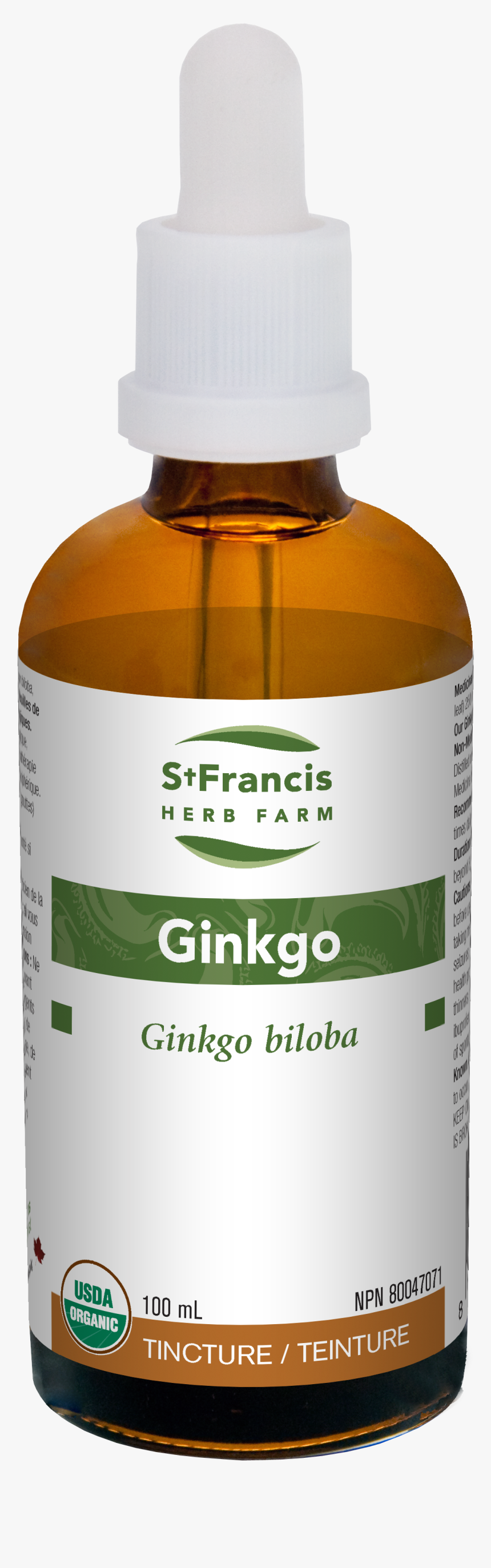 Ginkgo Tree Png, Transparent Png