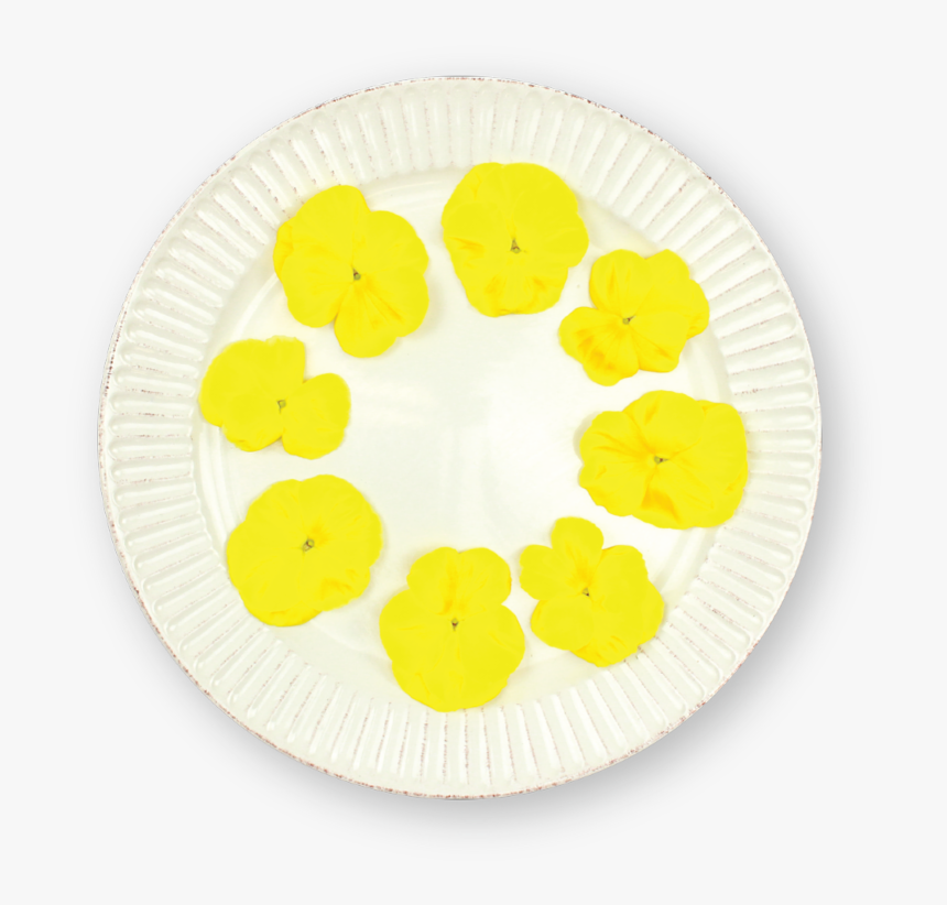 Circle, HD Png Download