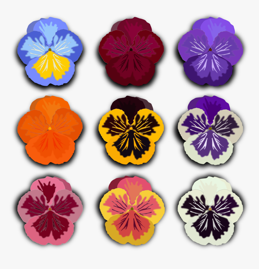 Pansies Clip Art Black And White, HD Png Download