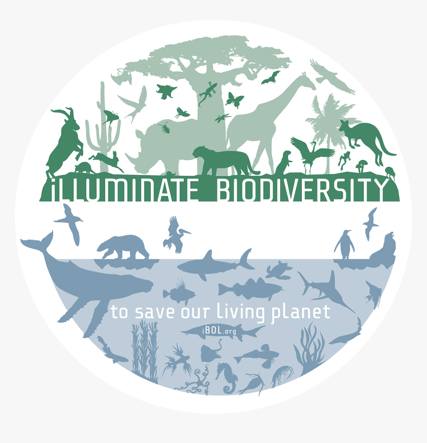 Bioscan Illuminating Biodiversity And Supporting Sustainability, HD Png Download