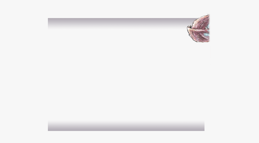 Envelope, HD Png Download