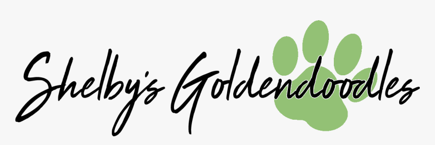 Shelby S Goldendoodles - Calligraphy, HD Png Download