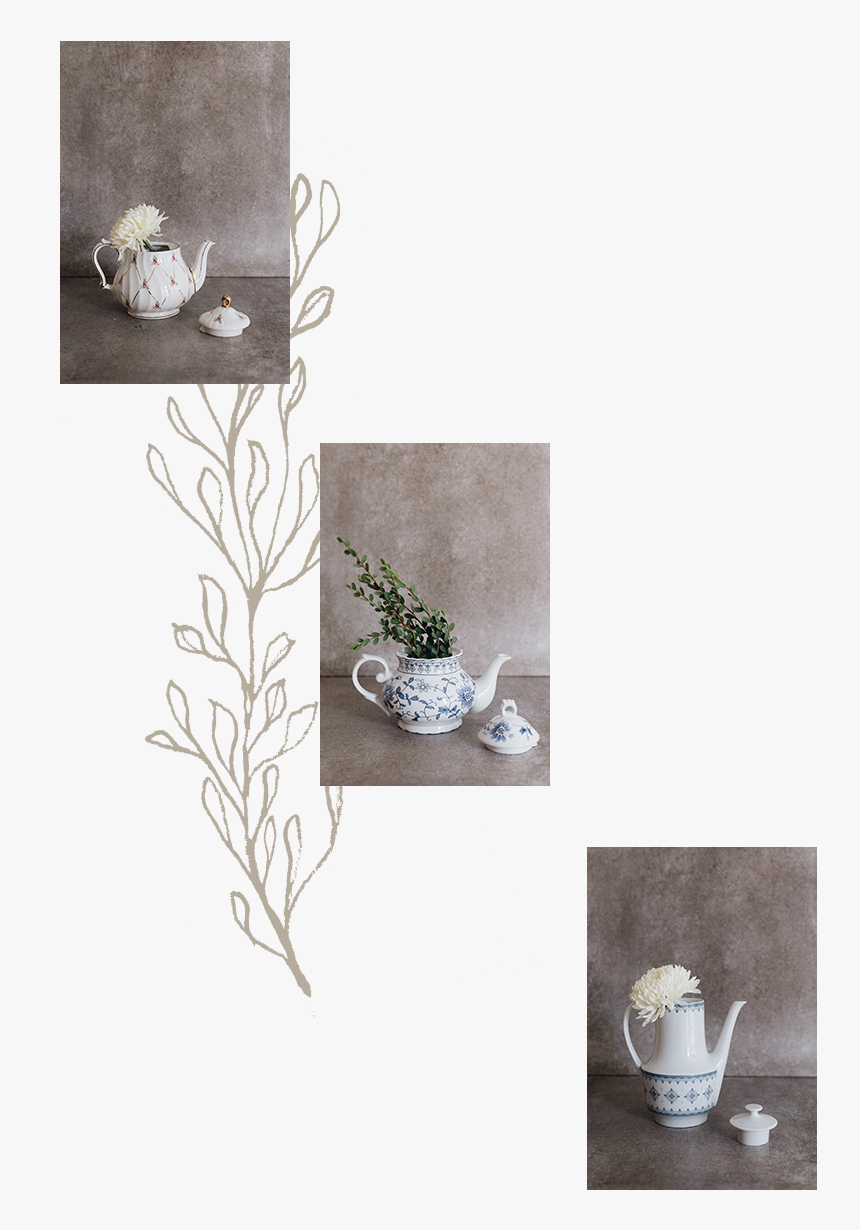 Teapot Catalogue - Still Life Photography, HD Png Download