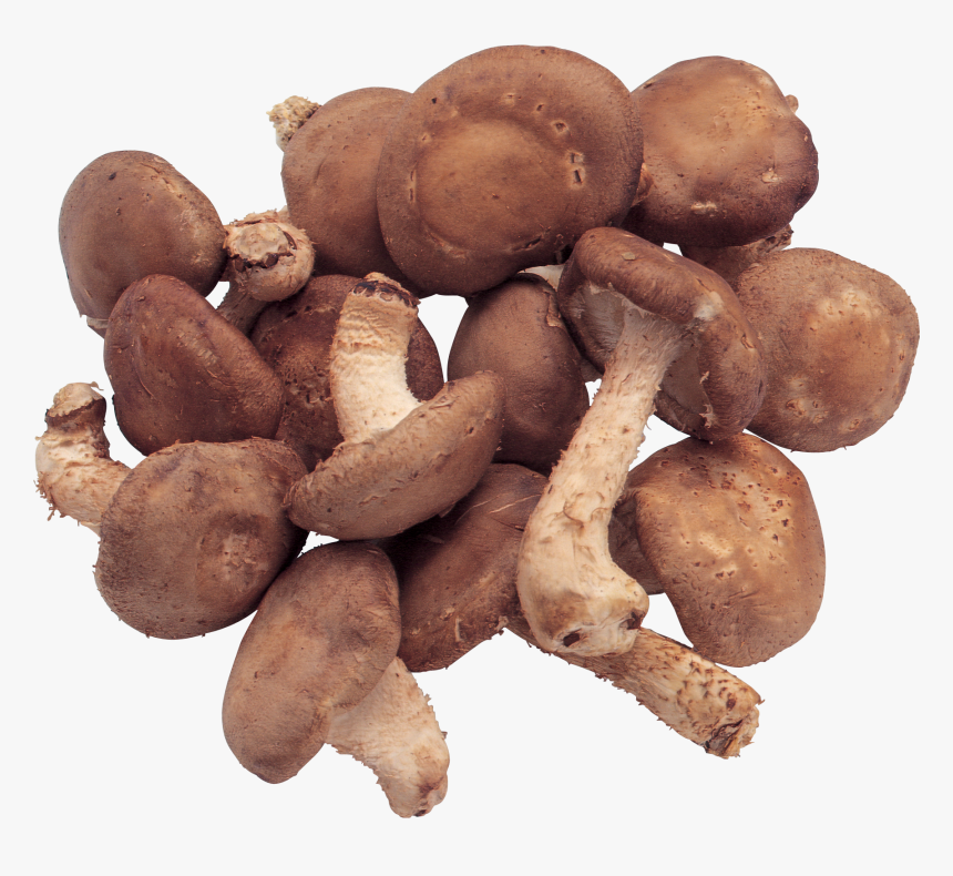 Mushrooms Png Image - Mushrooms Transparent Background Food, Png Download