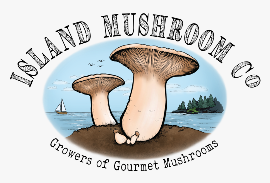Website Logo - Mushrooms Company, HD Png Download