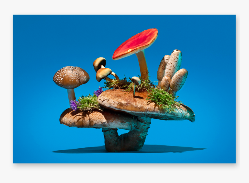 Grunewald, HD Png Download