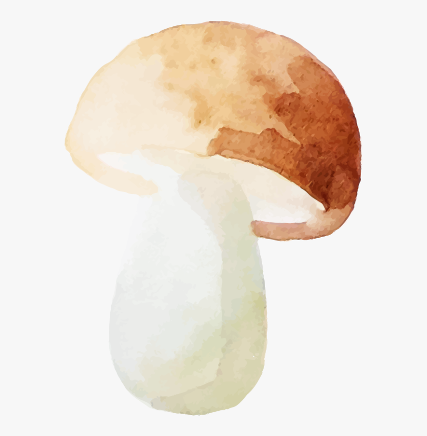 Shiitake, HD Png Download