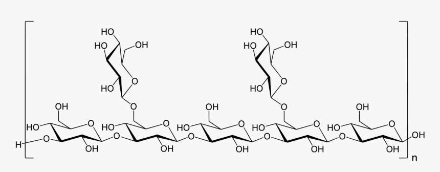 Mushroom Beta Glucan, HD Png Download