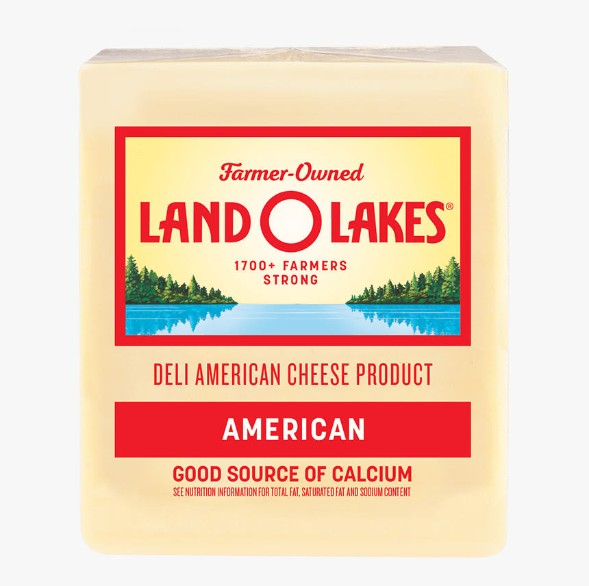 Hair Care, HD Png Download