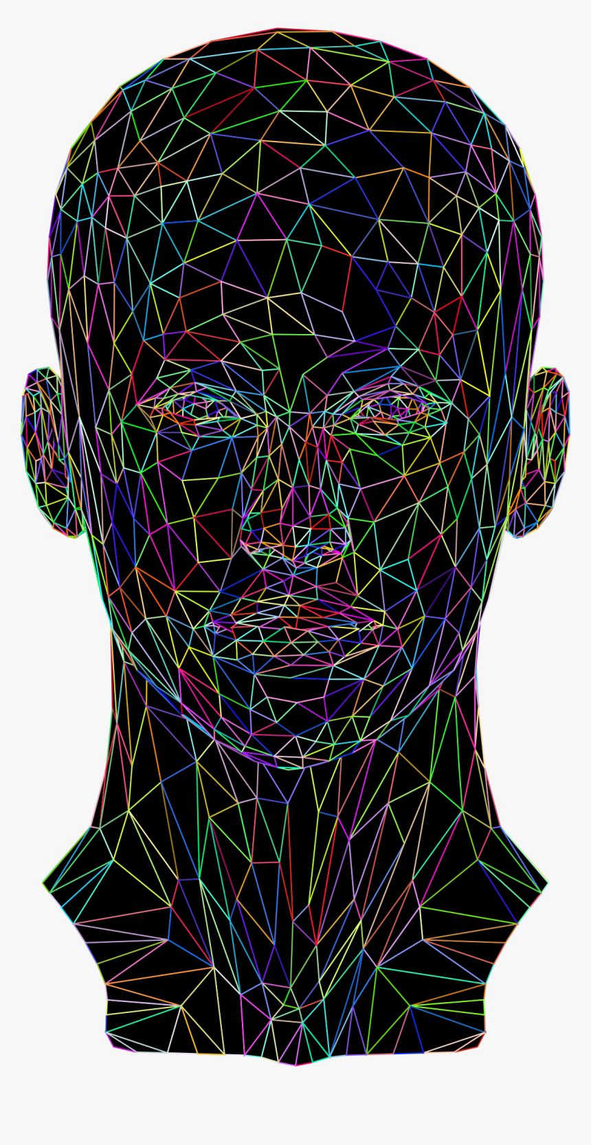 Human Clipart 3d Human - Female Face Wireframe Front, HD Png Download