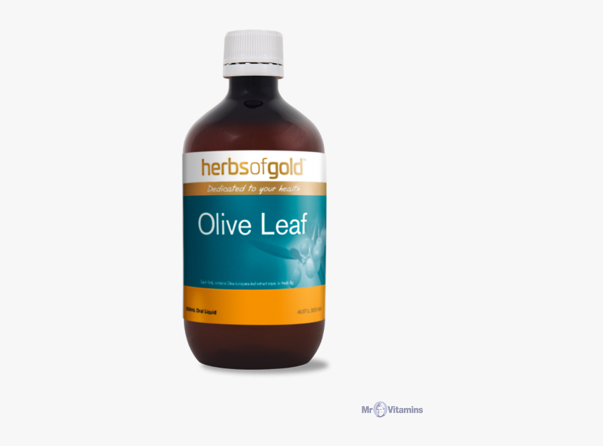 Herbs Of Gold Olive Leaf 500ml - Bottle, HD Png Download
