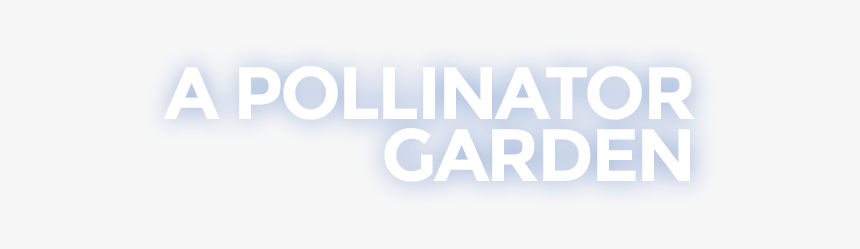 Pollinator-garden Text Graphic - Parallel, HD Png Download