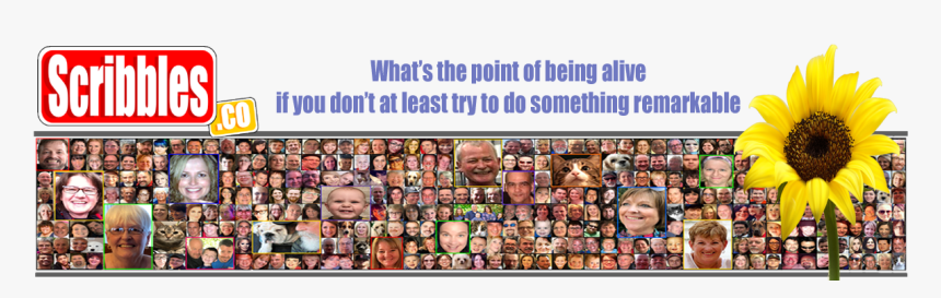 Bernie Says Think Before You Drive, HD Png Download