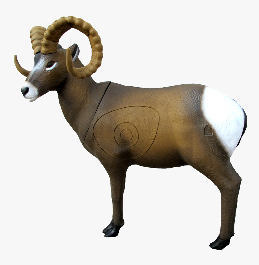 Srt Rocky Mountain Goat - Bighorn Sheep, HD Png Download