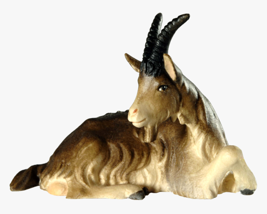 Goat Lying Png, Transparent Png