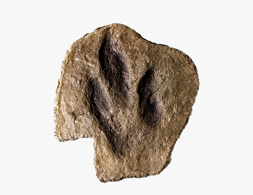 Igneous Rock, HD Png Download