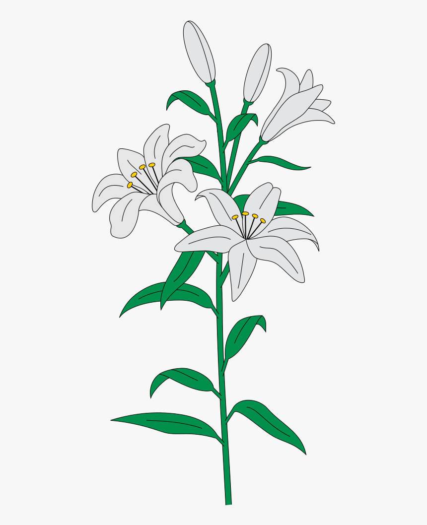 Easter Lilies Png, Transparent Png