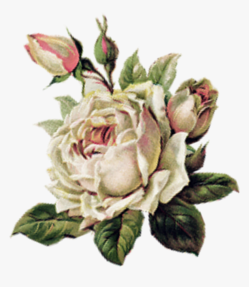 #png #flower #renaissance - Portable Network Graphics, Transparent Png