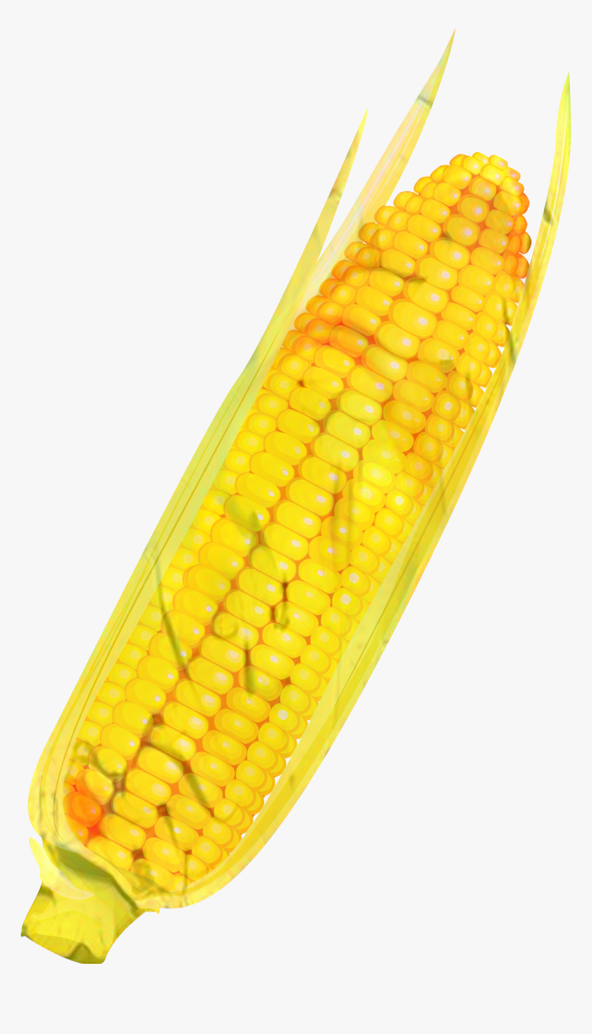 Corn On The Cob Commodity - Corn On The Cob, HD Png Download